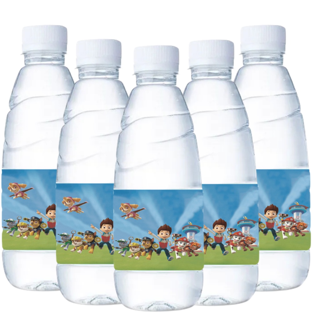 Paw Patrol Water Bottle Labels – обзор и цена Candy Sour Strip